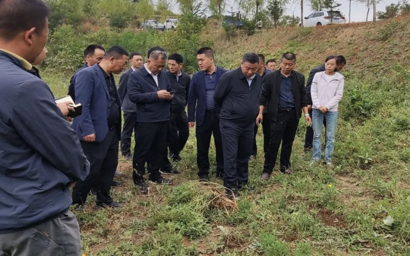 天水市政協(xié)副主席、清水縣委書記馬越垠到“榮程百草莊園”中藥材試驗(yàn)基地調(diào)研中草藥產(chǎn)業(yè)發(fā)展工作