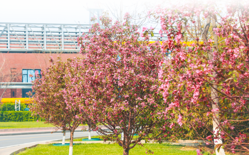 榮程視覺(jué) - 來(lái)，一起走進(jìn)春天里的榮程鋼鐵