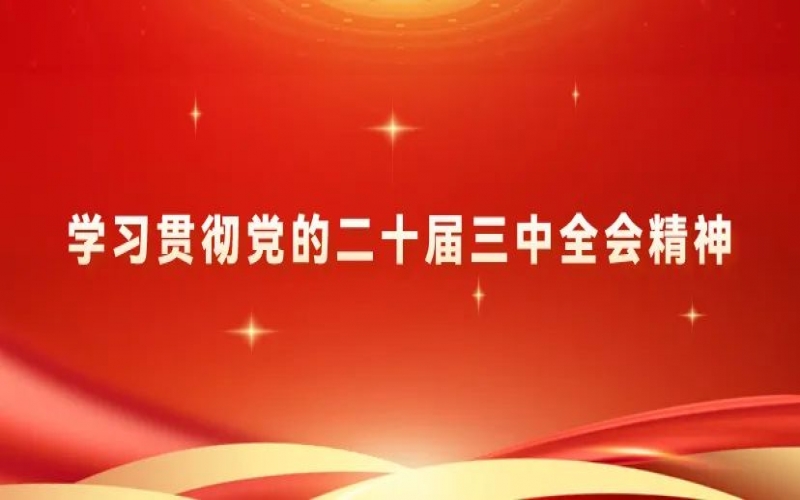 學(xué)習貫徹黨的二十屆三中全會精神 - 榮程青年為推進中國式現(xiàn)代化挺膺擔當